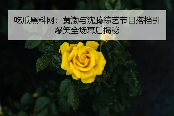 吃瓜黑料网：黄渤与沈腾综艺节目搭档引爆笑全场幕后揭秘